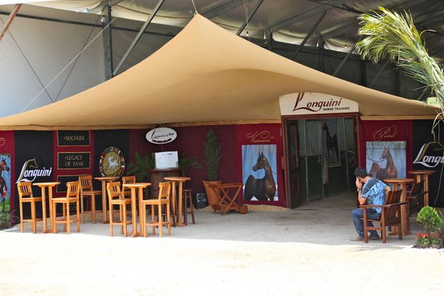 2010 Brazilian Nationals