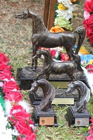 2010 Brazilian Nationals