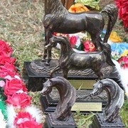 2010 Brazilian Nationals