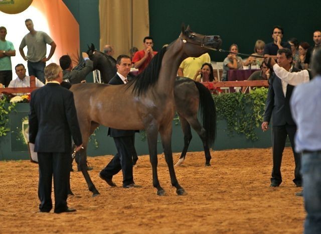 2010 Brazilian Nationals