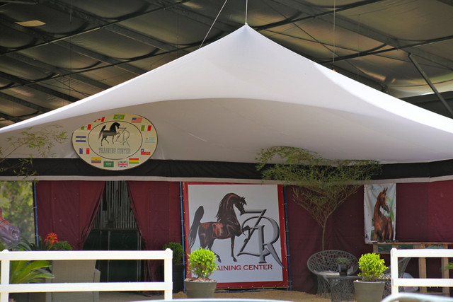 2010 Brazilian Nationals