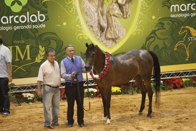 2010 Brazilian Nationals