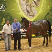 2010 Brazilian Nationals