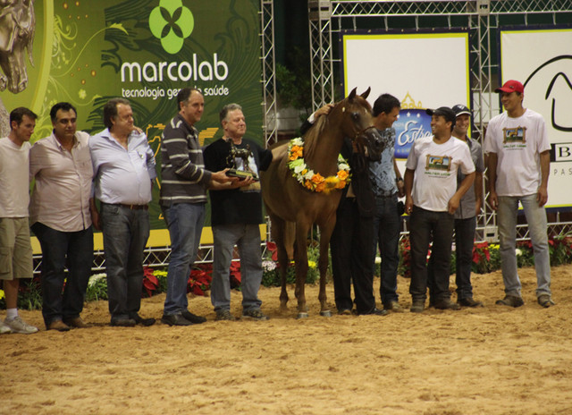 2010 Brazilian Nationals