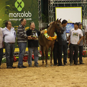 2010 Brazilian Nationals