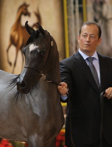 2010 Brazilian Nationals