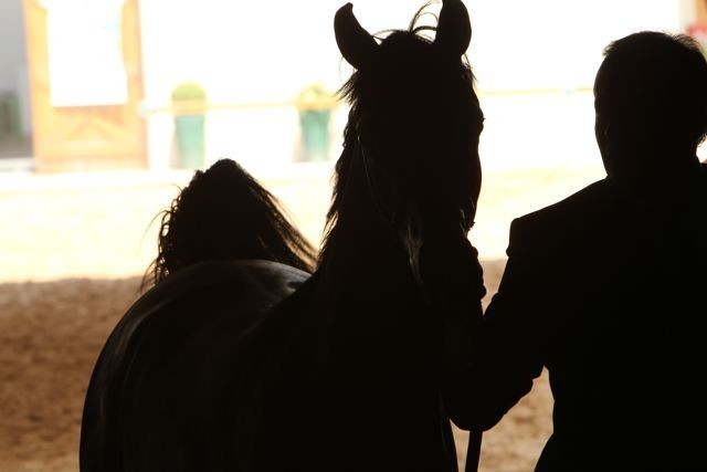 2010 Brazilian Nationals