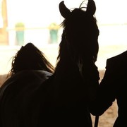 2010 Brazilian Nationals