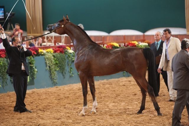 2010 Brazilian Nationals