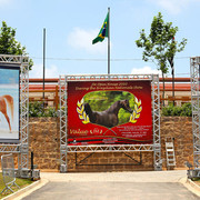 2010 Brazilian Nationals