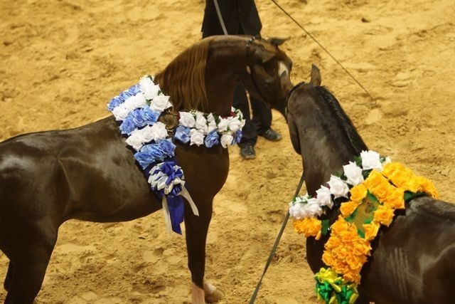 2010 Brazilian Nationals