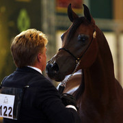 2010 Brazilian Nationals