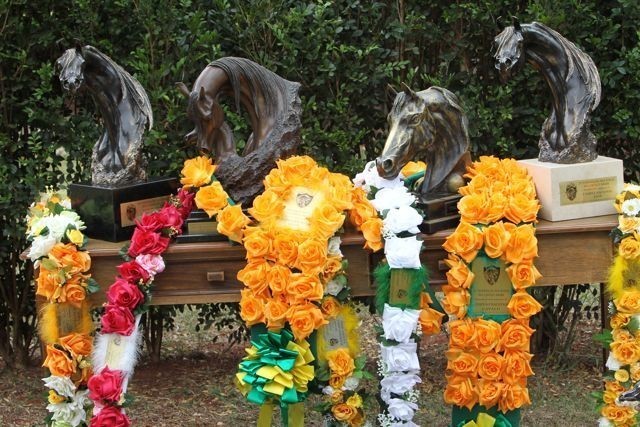 2010 Brazilian Nationals