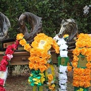 2010 Brazilian Nationals