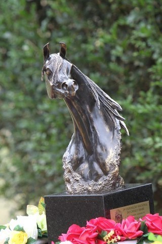 2010 Brazilian Nationals