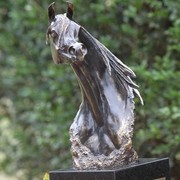 2010 Brazilian Nationals