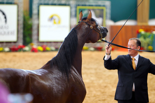 2010 Brazilian Nationals
