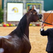 2010 Brazilian Nationals