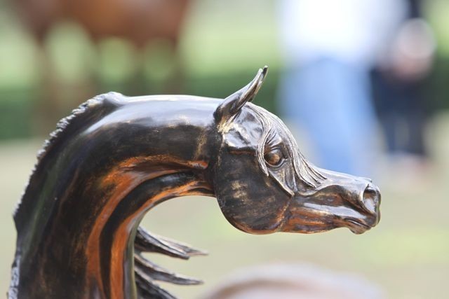 2010 Brazilian Nationals