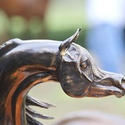 2010 Brazilian Nationals