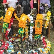 2010 Brazilian Nationals