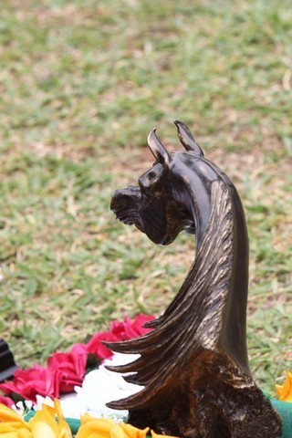 2010 Brazilian Nationals