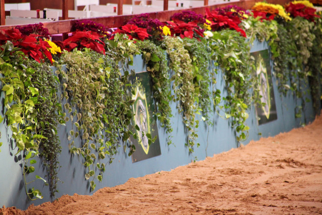 2010 Brazilian Nationals