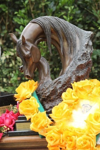 2010 Brazilian Nationals