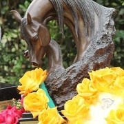 2010 Brazilian Nationals