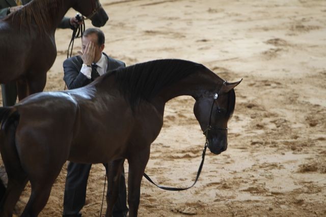 2010 Brazilian Nationals