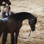 2010 Brazilian Nationals