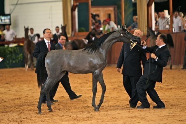 2010 Brazilian Nationals