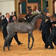 2010 Brazilian Nationals