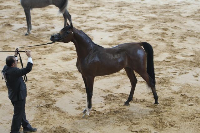 2010 Brazilian Nationals