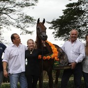 2010 Brazilian Nationals