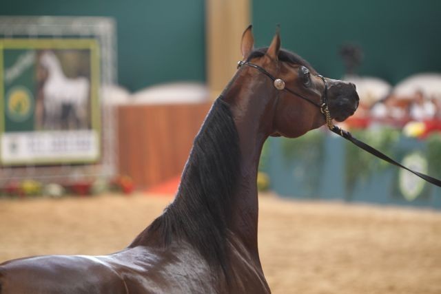 2010 Brazilian Nationals