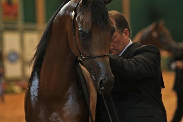 2010 Brazilian Nationals