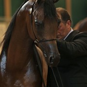 2010 Brazilian Nationals