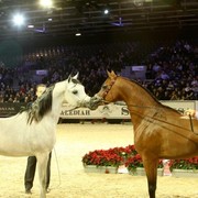 Fadi Al Shaqab (on right)