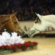 2010 Paris World Championships | Day 2