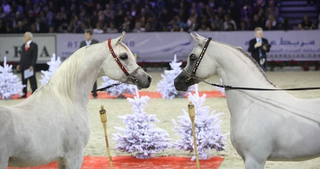 2010 Paris World Championships | Day 3