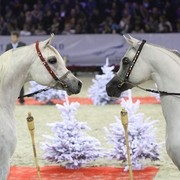 2010 Paris World Championships | Day 3