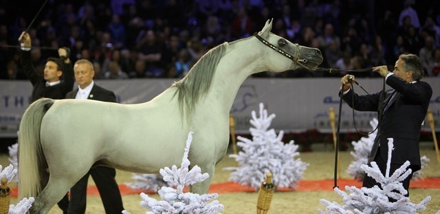 2010 Paris World Championships | Day 3