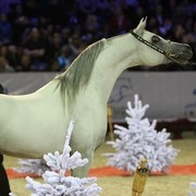 2010 Paris World Championships | Day 3