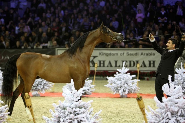 2010 Paris World Championships | Day 3