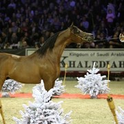 2010 Paris World Championships | Day 3