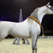 2010 Paris World Championships | Day 3