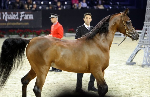 2010 Paris World Championships | Day 3