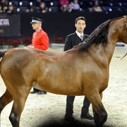 2010 Paris World Championships | Day 3