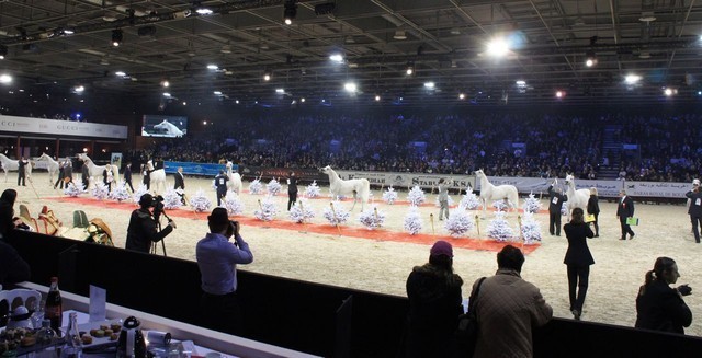 2010 Paris World Championships | Day 3